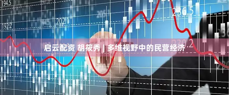 启云配资 胡筱秀 | 多维视野中的民营经济