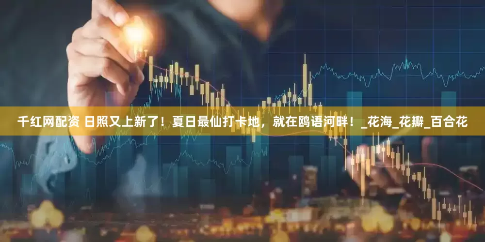 千红网配资 日照又上新了！夏日最仙打卡地，就在鸥语河畔！_花海_花瓣_百合花
