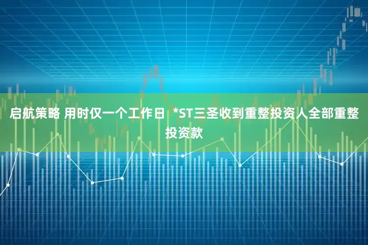 启航策略 用时仅一个工作日  *ST三圣收到重整投资人全部重整投资款